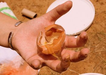Food waste