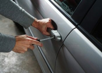 Car thief