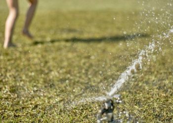 cropped sprinkler