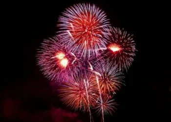 Image by PublicDomainPictures from Pixabay