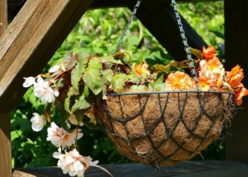 hanging basket