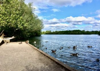 Wokingham Borough Council has warned only residents from Hurst, Winnersh and Woodley should be visiting the country park.