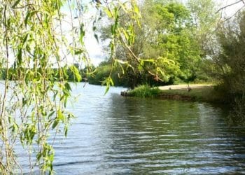 dinton pastures hurst country park wokingham nature trail