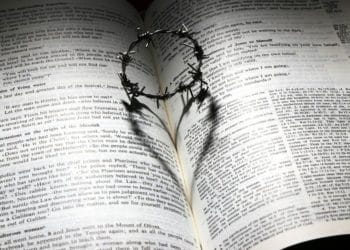 Bible crown of thorns