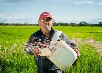 farmers