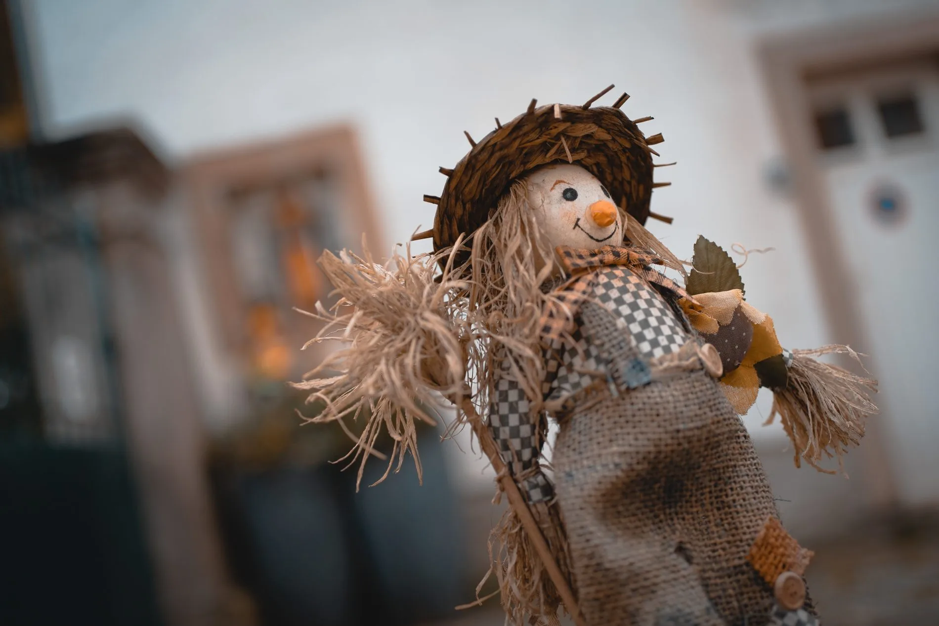 Picture: Michel Stockman from Unsplash