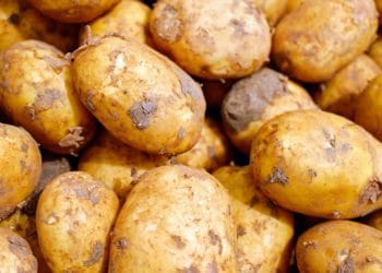 Potatoes