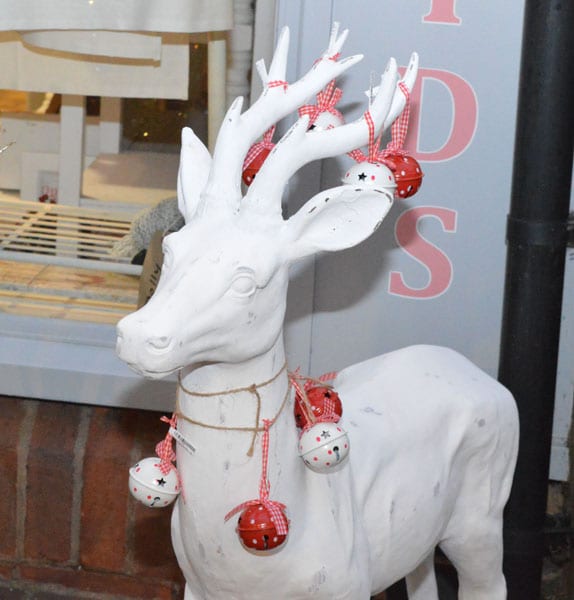 reindeer outside a shop in the alleyway