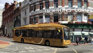 The distinctive leopard bus connects Reading and Wokingham. Picture: Reading Buses