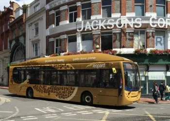 the leopard in service