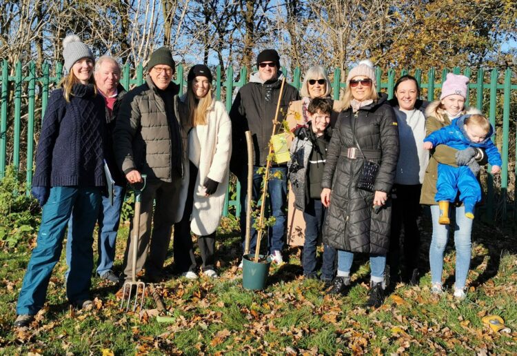 tree planting