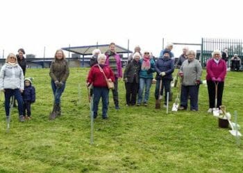 WI volunteers plant trees in Woosehill for the Queen's Green Canopy project. Picture: Woosehill WI