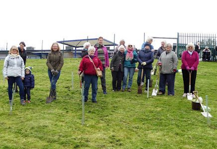 WI volunteers plant trees in Woosehill for the Queen's Green Canopy project. Picture: Woosehill WI