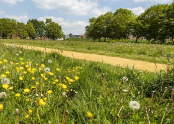 Hazebrouck Meadows, Arborfield, one of the designated areas of green space Picture: Stewart Turkington