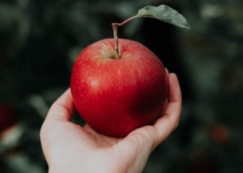 Will Snow White eat the apple? Shinfield Player will perform the panto, set to the music of ABBA Picture: Priscilla Du Preez on Unsplash