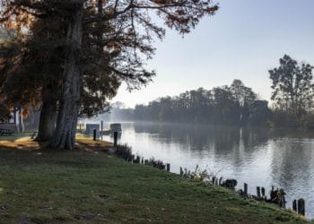 National Trust walks