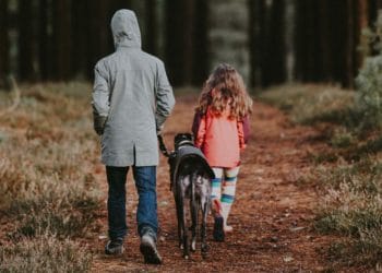 Owners have been warned to wash mud off of their dogs after every walk