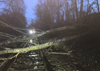 A tree on the tracks at Netley. South Western Railway says more disruption is expected as a result of Storm Franklin, with trees weakened by Storm Eunice Picture: South Western Railway