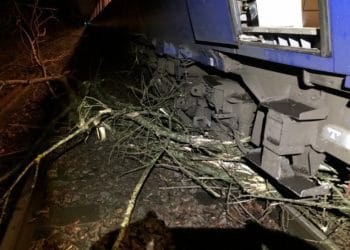 Fallen branches are causing disruption to the railway network. This incident happened outside Sunningdale. Picture: South Western Railway