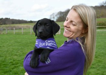 Canine Partners appealing for puppy parents in Wokingham Picture: Canine Partners
