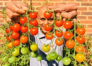 California Gardeners' Club