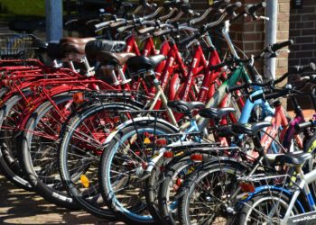 bikes
