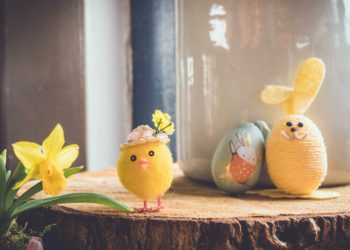 Picture: Sebastian Staines on Unsplash