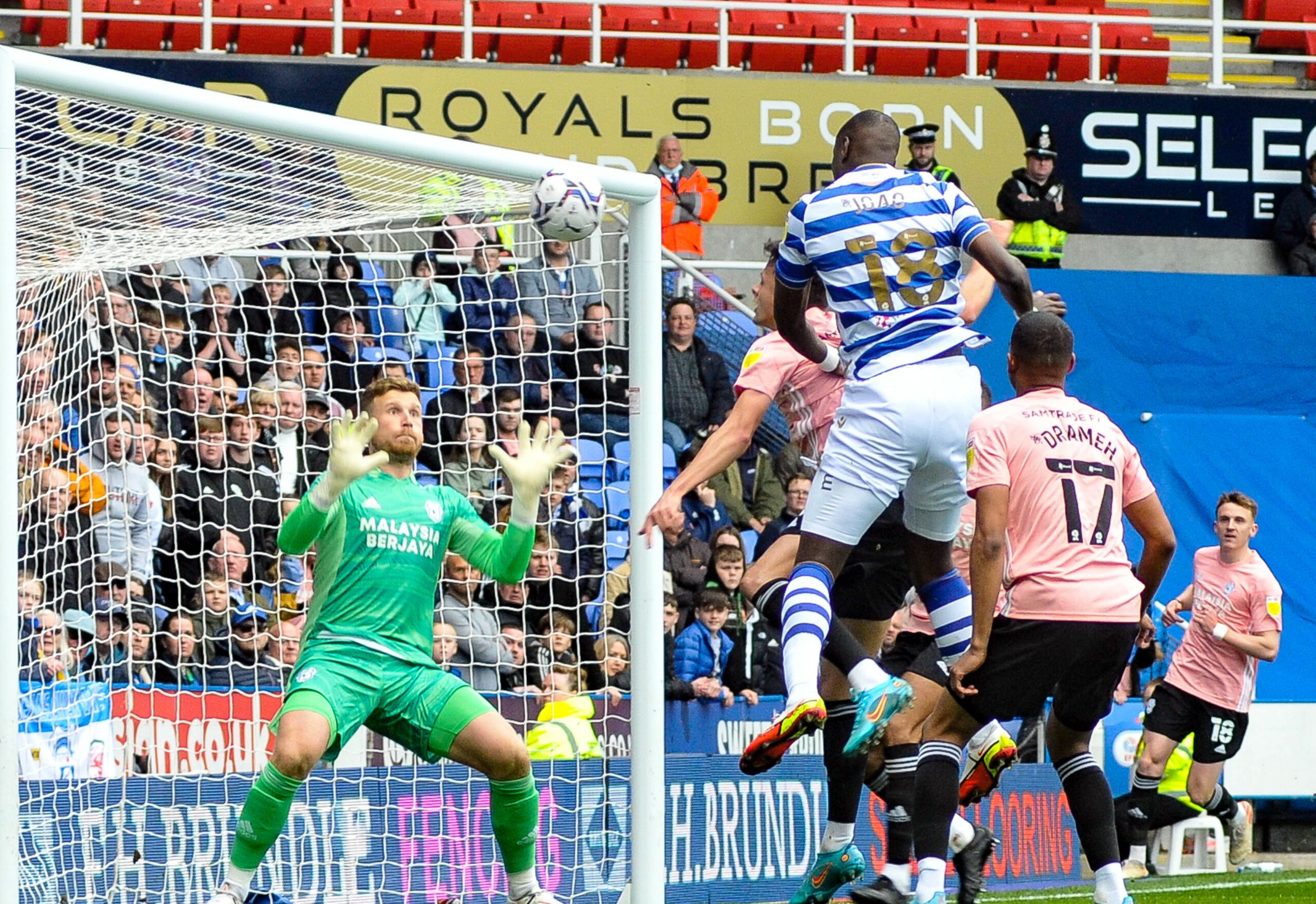 Reading vs Cardiff City