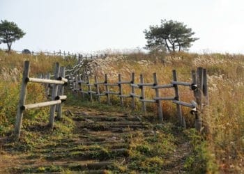 countryside