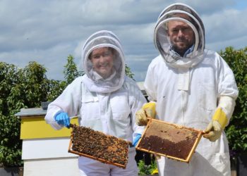 The Lexicon pollinators programme has seen three hives planted on the roof of Princess Square