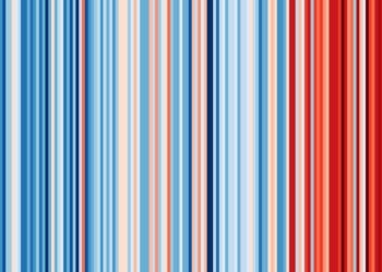 The Berkshire stripes Picture: University of Reading