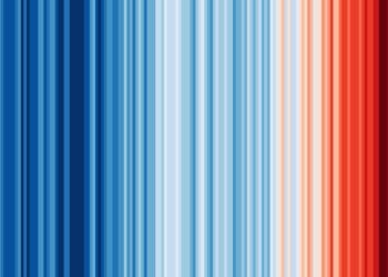 The stripes