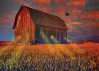 The Watremill is producing a revival of Whistle Down The Wind