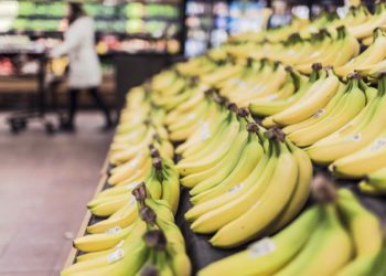 Picture:  StockSnap from Pixabay