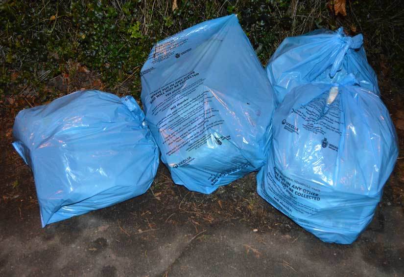 Blue Bag Waste Disposal Store - www.edoc.com.vn 1695162532