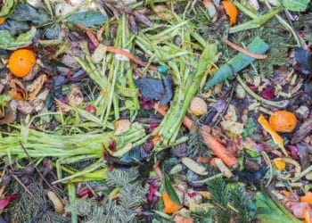 TIME FOR CHANGE: Wokingham Borough Council will no longer supply caddy liners as it looks to save money and reduce environmental impact of single-use plastic Picture: Meineresterampe via Pixabay