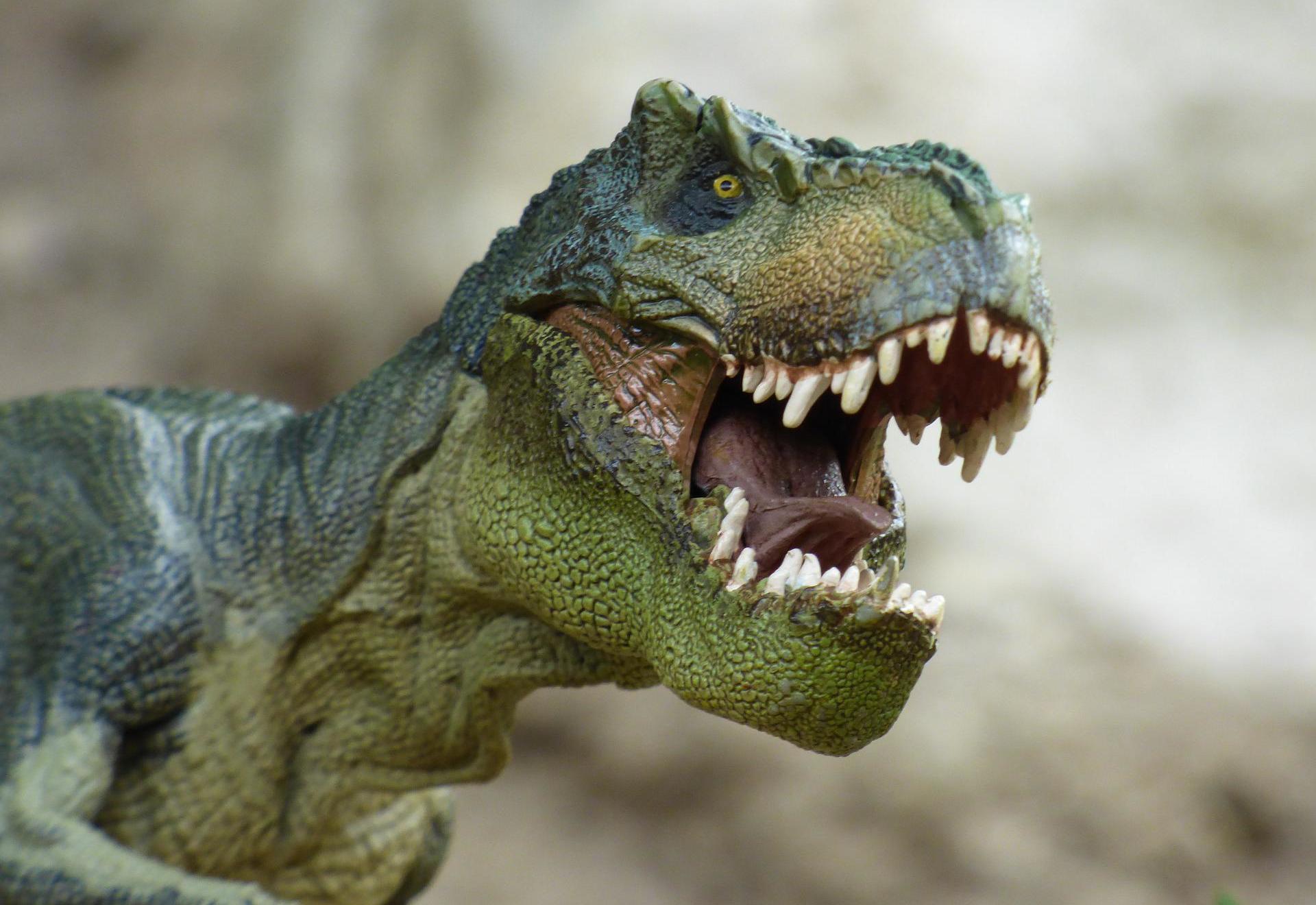 Dinosaurs will roam Wellington Country Park this August Picture: Eric Labayle from Pixabay