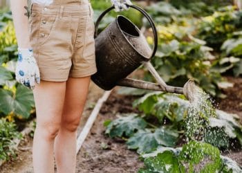 Using water wisely during hot weather is a wise move says WaterWise