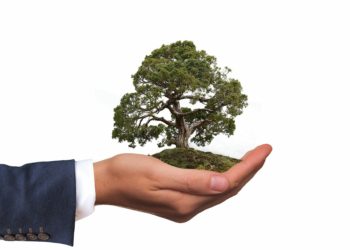 The Diocese of Oxford has received an eco-friendly Picture: Gerd Altmann from Pixabay