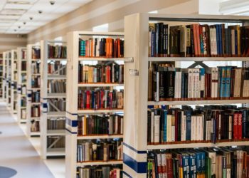 Low-cost activities for kids in the summer at Wokingham Library Picture: Michal Jarmoluk via Pixabay