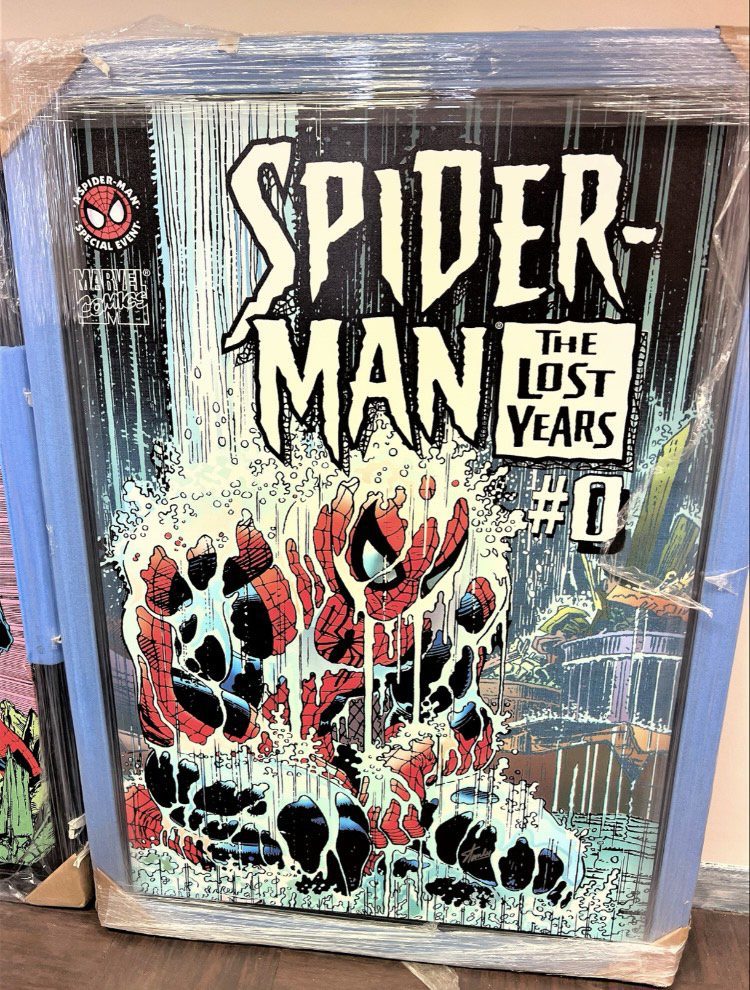 Spider-Man Vol 1 #0 - The Lost Years Picture: Martin & Pole