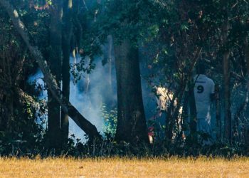 Cricketers from Shinfield Cricket Club and Penn & Tyler put out a fire in a small wooded area next to the Millworth Lane pitches. Picture: Steve Smyth