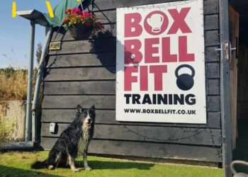 Rob, the gym's resident dog will be overseeing the annual games day. Picture courtesy of Box Bell Fit.