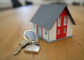 Picture  Tierra Mallorca via Unsplash