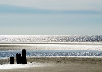 The seaside  Picture: PublicDomainPictures from Pixabay