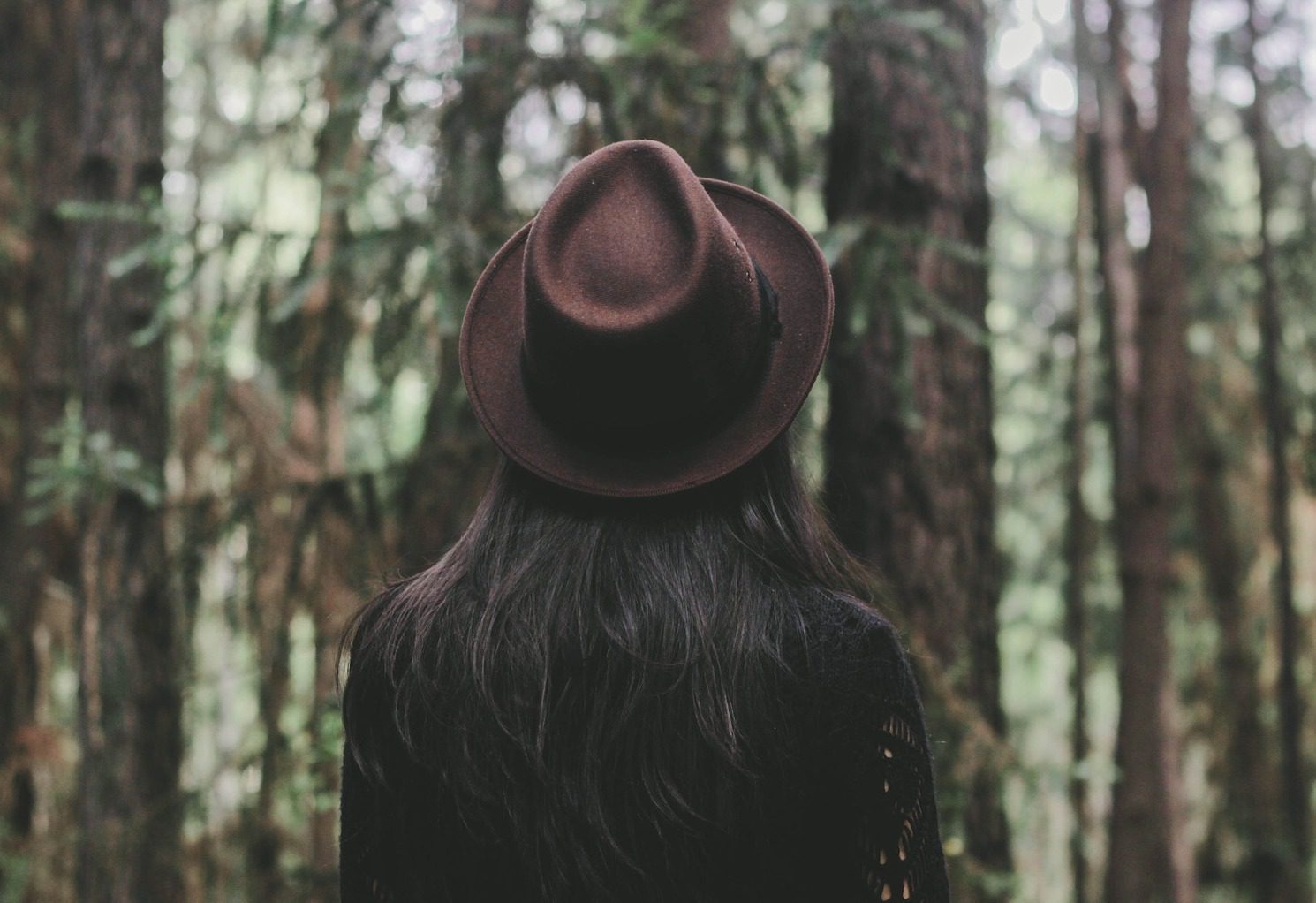 Hat wearers are welcome at The Flowing Spring this Saturday Picture: Pixabay