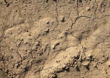 This summer has seen the UK enter drought conditions Picture:  Jean-Pierre Pellissier from Pixabay