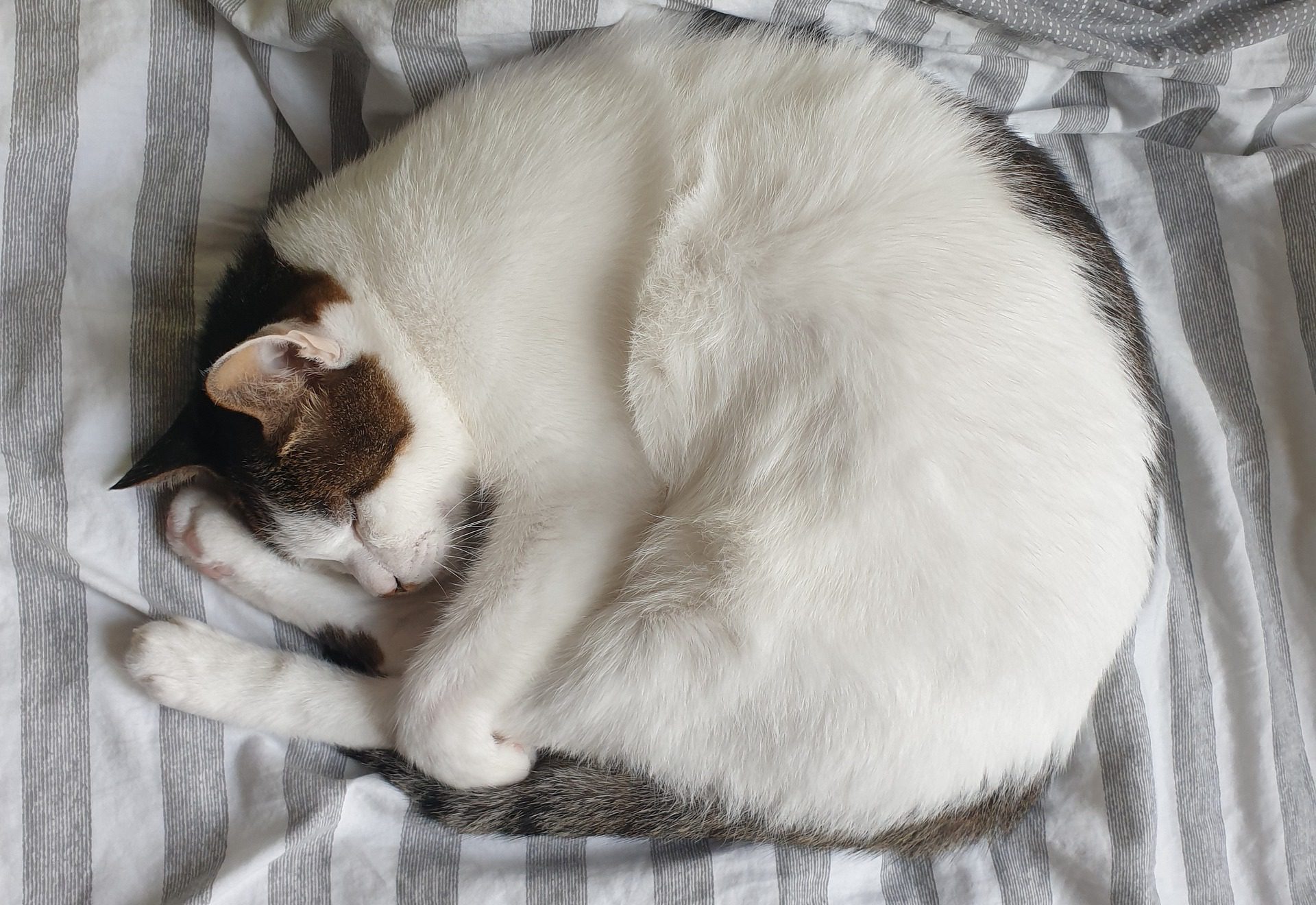 It will be hard to get comfortable on Saturday night at FBC. Picture; city4702 via Pixabay