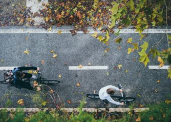 Picture: Umit Yildrim via Unsplash