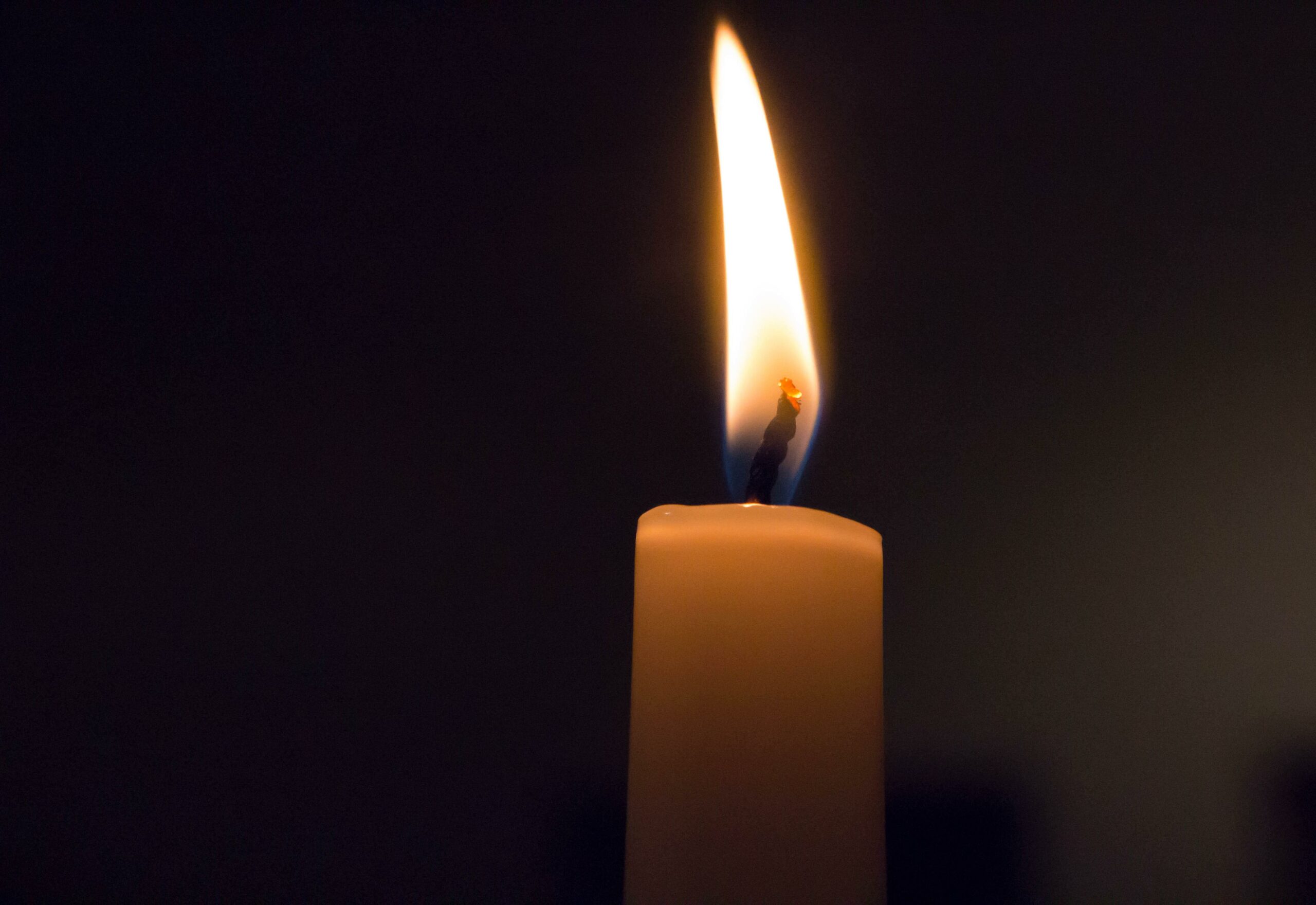 Picture: Janosch Diggelmann via Unsplash